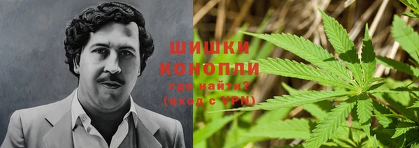 ПСИЛОЦИБИНОВЫЕ ГРИБЫ Слюдянка
