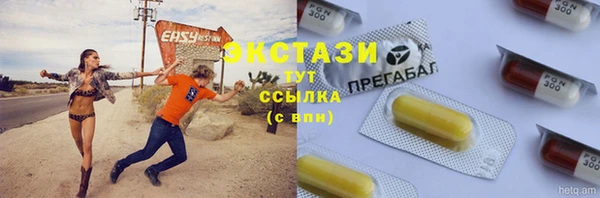 индика Снежинск