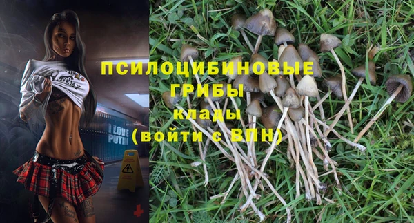 индика Снежинск