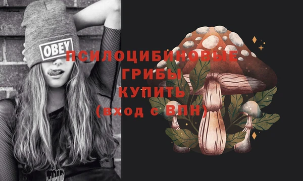 индика Снежинск