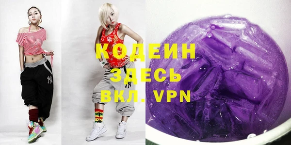 индика Снежинск