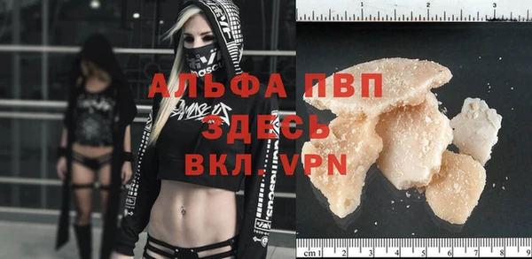 ПСИЛОЦИБИНОВЫЕ ГРИБЫ Слюдянка