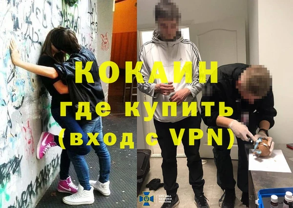 спайс Богданович