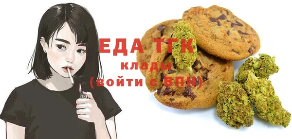 индика Снежинск