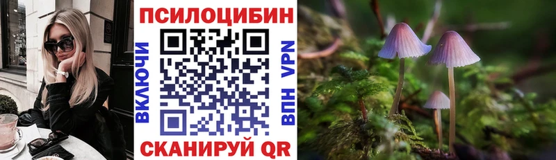 Галлюциногенные грибы прущие грибы  Болотное 