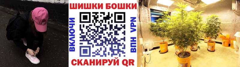 закладки  сайты даркнета официальный сайт  Канабис VHQ  Болотное 
